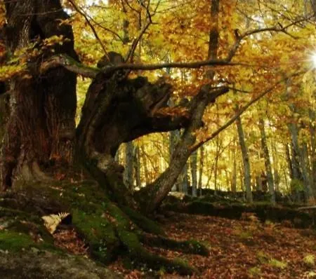 Carroyosa Del Jerte *