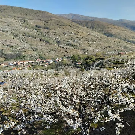 Carroyosa Del Jerte Navaconcejo